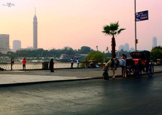 CAIRO BY NIGHT